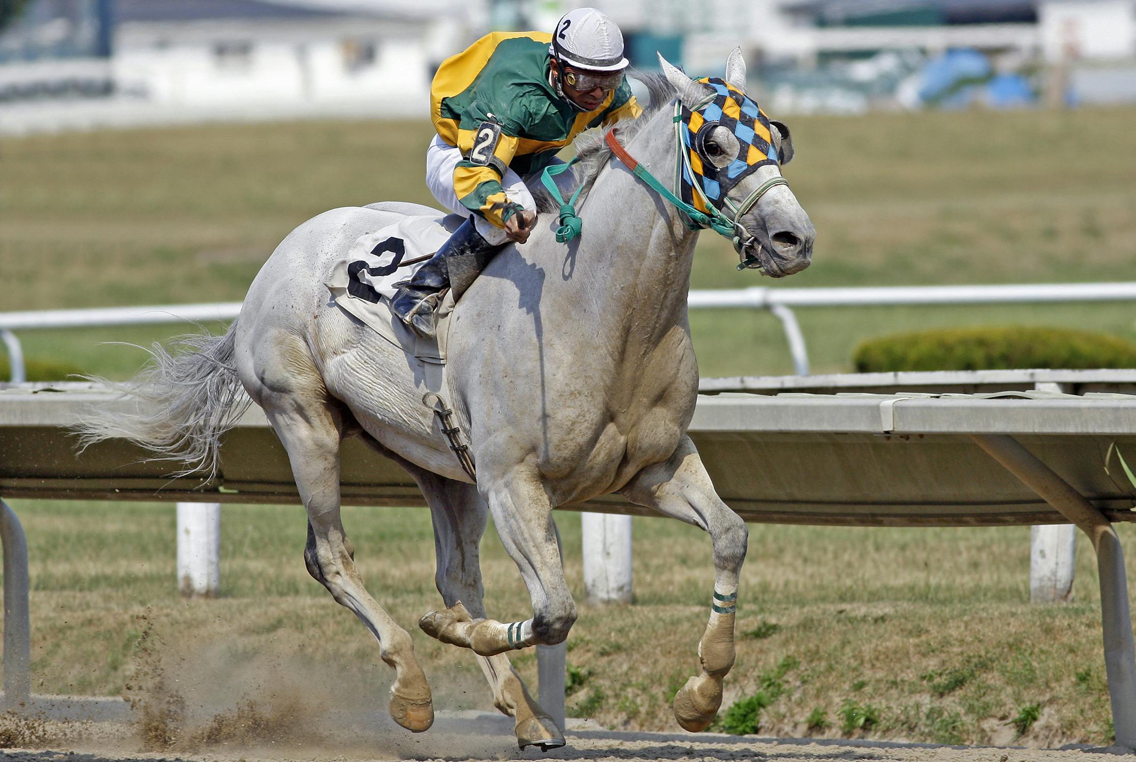 Bet on Preakness Stakes