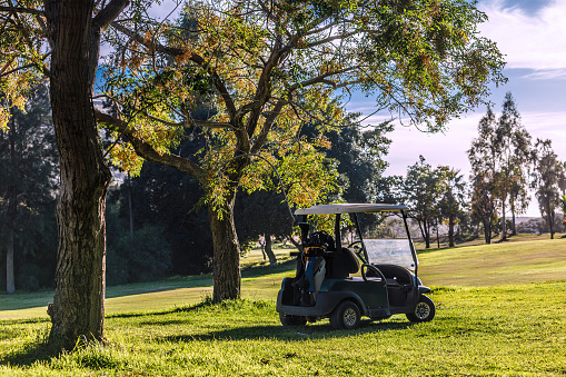 luxury golf cart buying guide